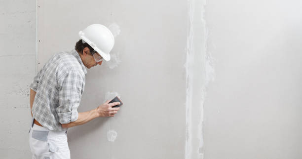 Mold Remediation for Vacation Homes in West Glendive, MT