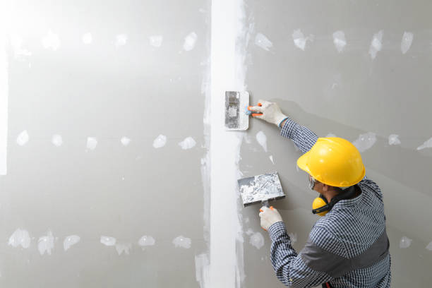 Best Environmental Consulting for Mold Prevention  in West Glendive, MT