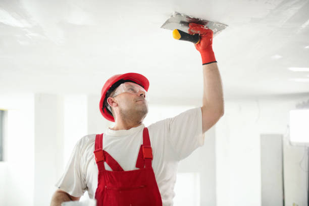 Best Basement Mold Removal  in West Glendive, MT